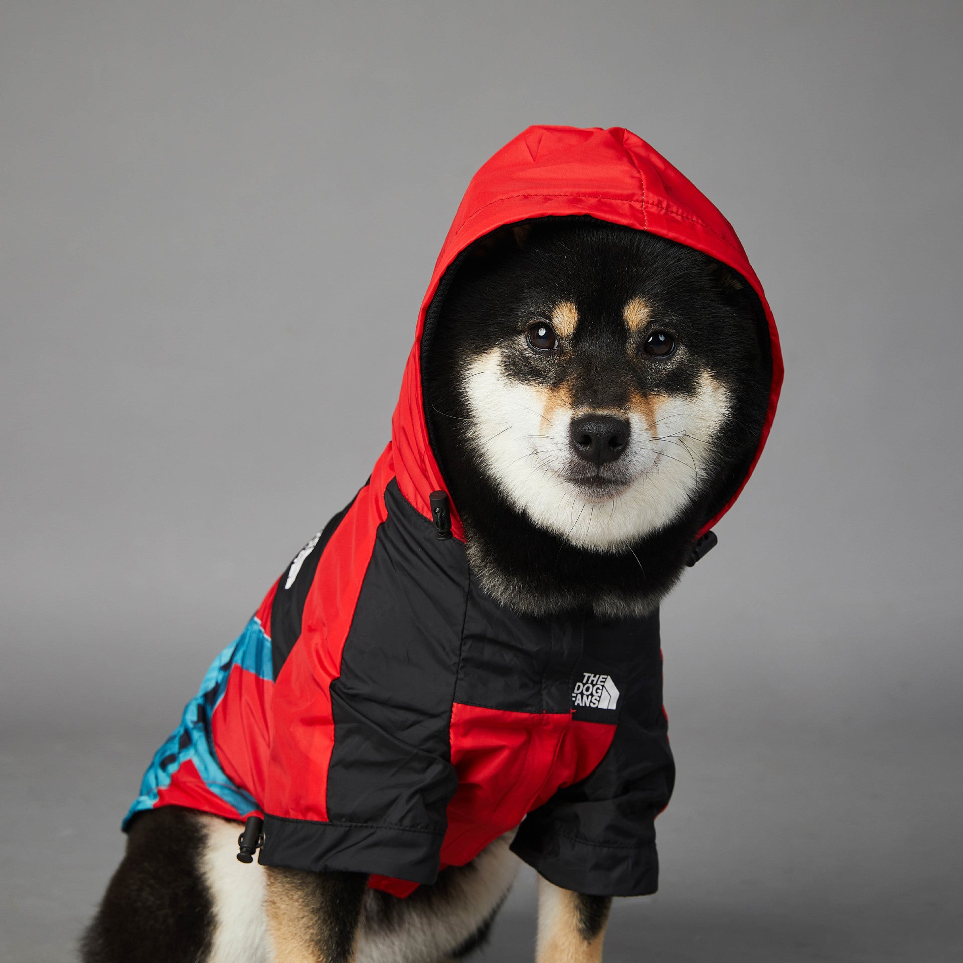 Windproof And Rainproof Dog Pet Shell Jacket - Keep Your Furry Friend Cozy!